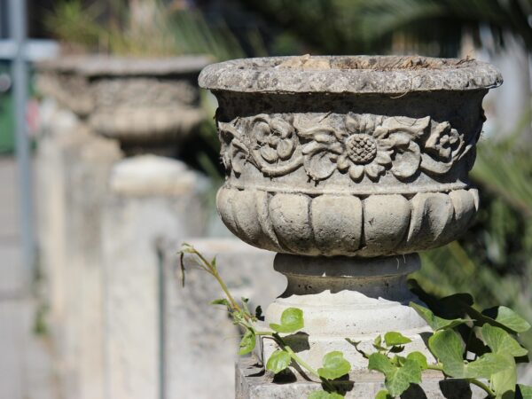 bananfluer i planter