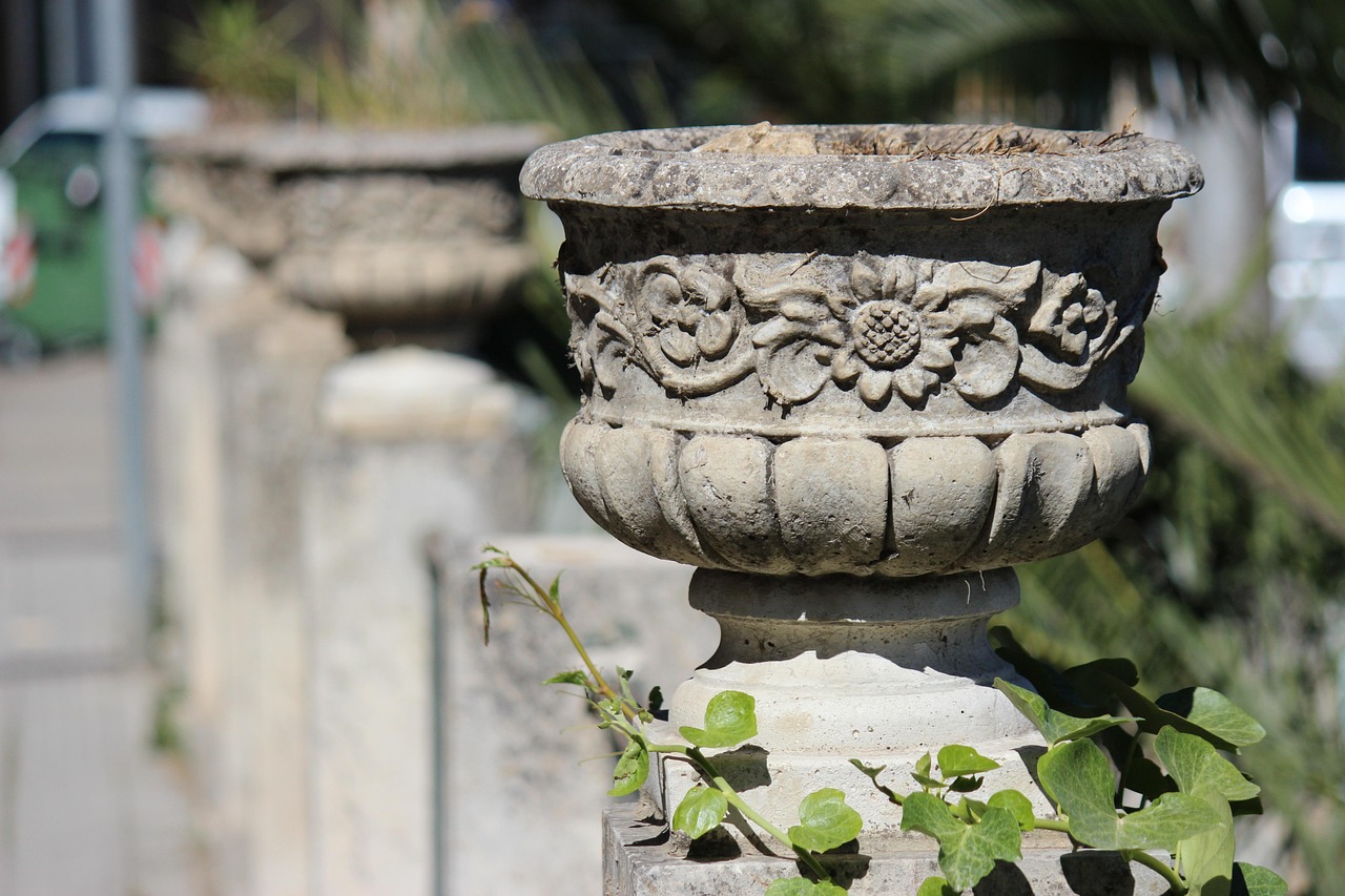 bananfluer i planter
